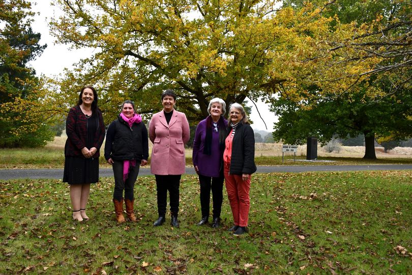 Victorian Women's Public Art Program in Linton  Main Image